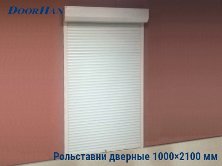 Рольставни на двери 1000×2100 мм в Саратове от 23895 руб.