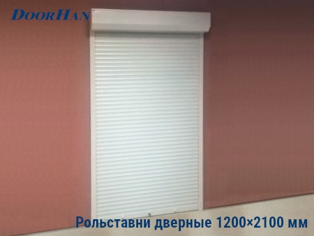 Рольставни на двери 1200×2100 мм в Саратове от 26321 руб.